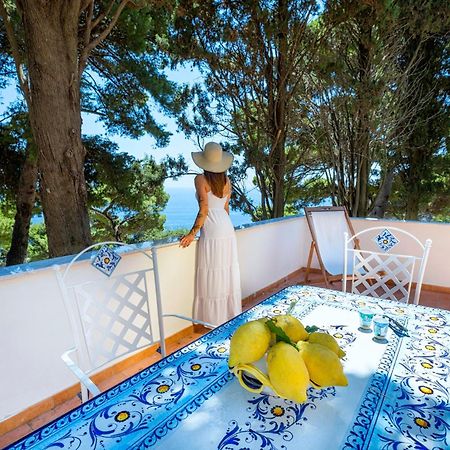 ホテル Casa Schiattarella カプリ エクステリア 写真