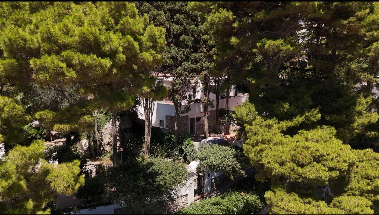 ホテル Casa Schiattarella カプリ エクステリア 写真
